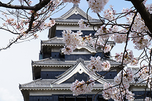 長野県建設業会計支援センター