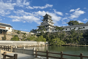 愛媛県建設業会計支援センター