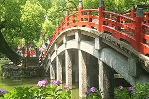 福岡県建設業会計支援センター