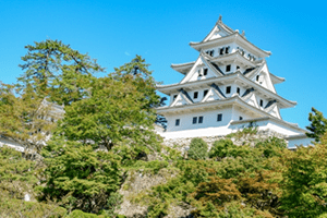岐阜県建設業会計支援センター