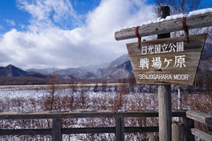 栃木県建設業会計支援センター